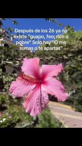 #video #fypシ゚ #fyy #contenido 