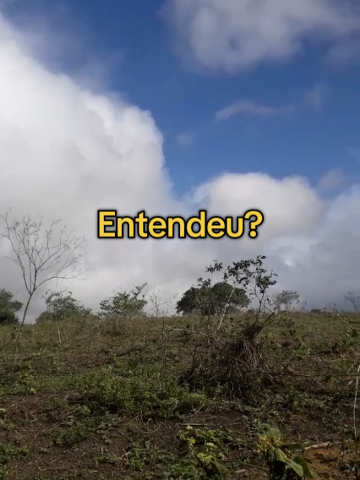 O homem quando não quer ele dá sinais o tempo inteiro  #reflexaododia #relacionamento 