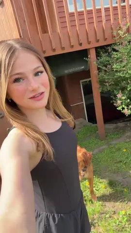 Almost summer!!☀️🐶 #Summer #dog #nature #lipsync #viral #fyp 