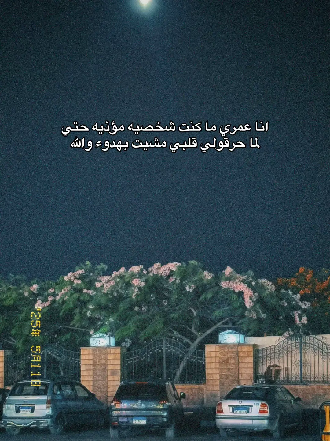 #hossam_elsayd #foryou 