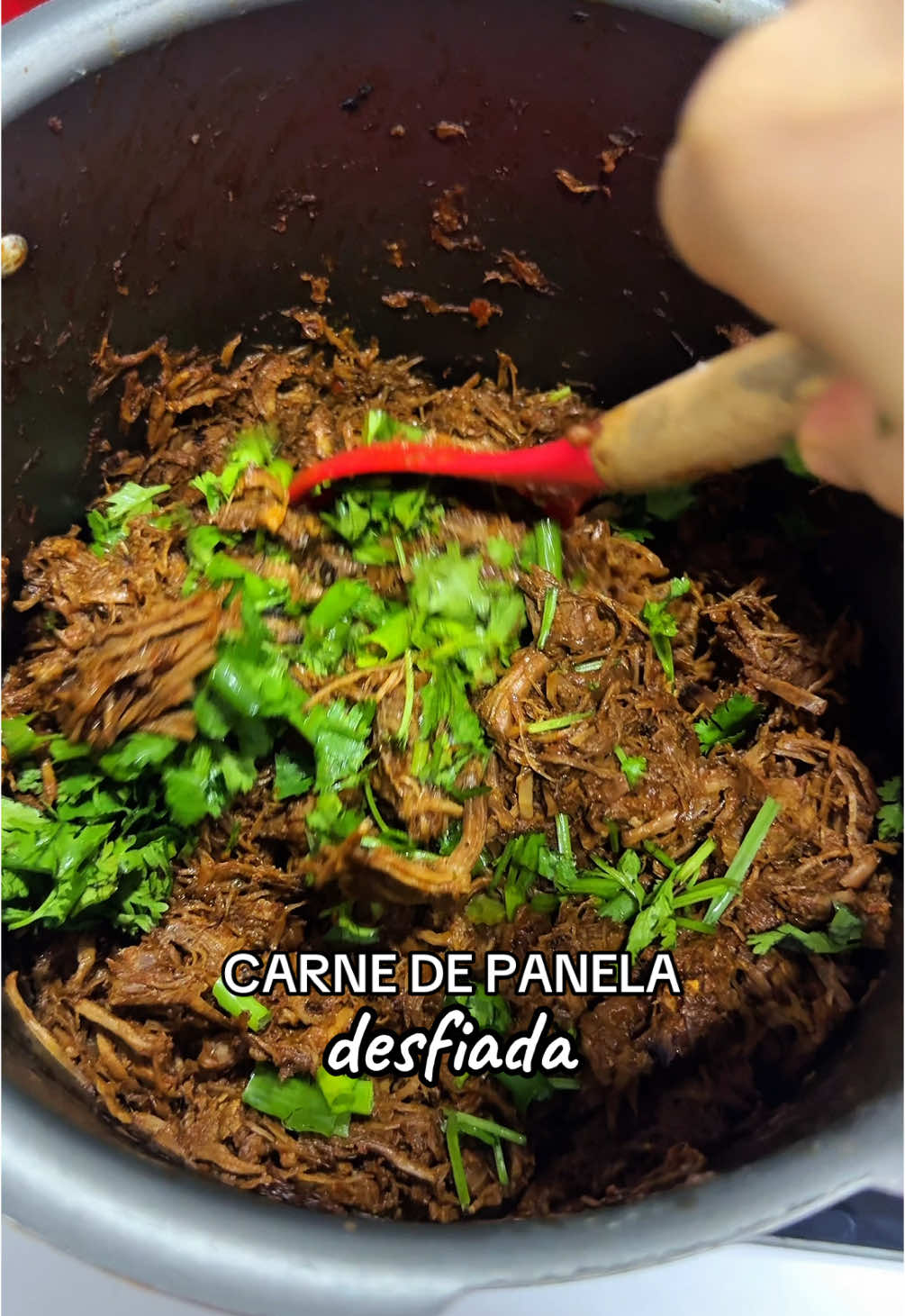 Cansada do frango sem graça?  Essa receita vai salvar sua dieta 😋 Ingredientes: 1kg de paleta em cubos, sem gordura; Extrato de tomate (da marca elefante é mara); Temperos: cebola, pimentão amarelo e vermelho, sal, chimichurri, páprica doce e picante, corante. Coloque água até cobrir e leve na pressão por 40 min. Depois utilize uma colher ou fuê (fouet) para desfiar a carne. ✨✨✨ #receita #dieta #emagrecimento #carnedepanela 