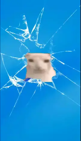 Gato comiendo papas #paratii #noflop #Gato#Comiendo #papas 