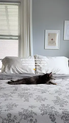 she loves the camera & all the pets 🧁🐰 #tortie #carsoftiktok #morningroutine #catmom 