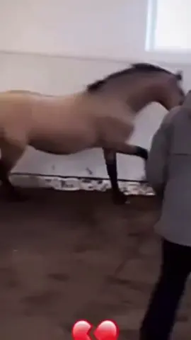 #mrbombastic #trending #positivity #respect #viral #fyp #magic 