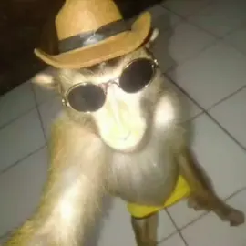 o lugar que é seu, te prometo, ninguém mais morou... ##voltavida #luansantana #ex #macaquinho 