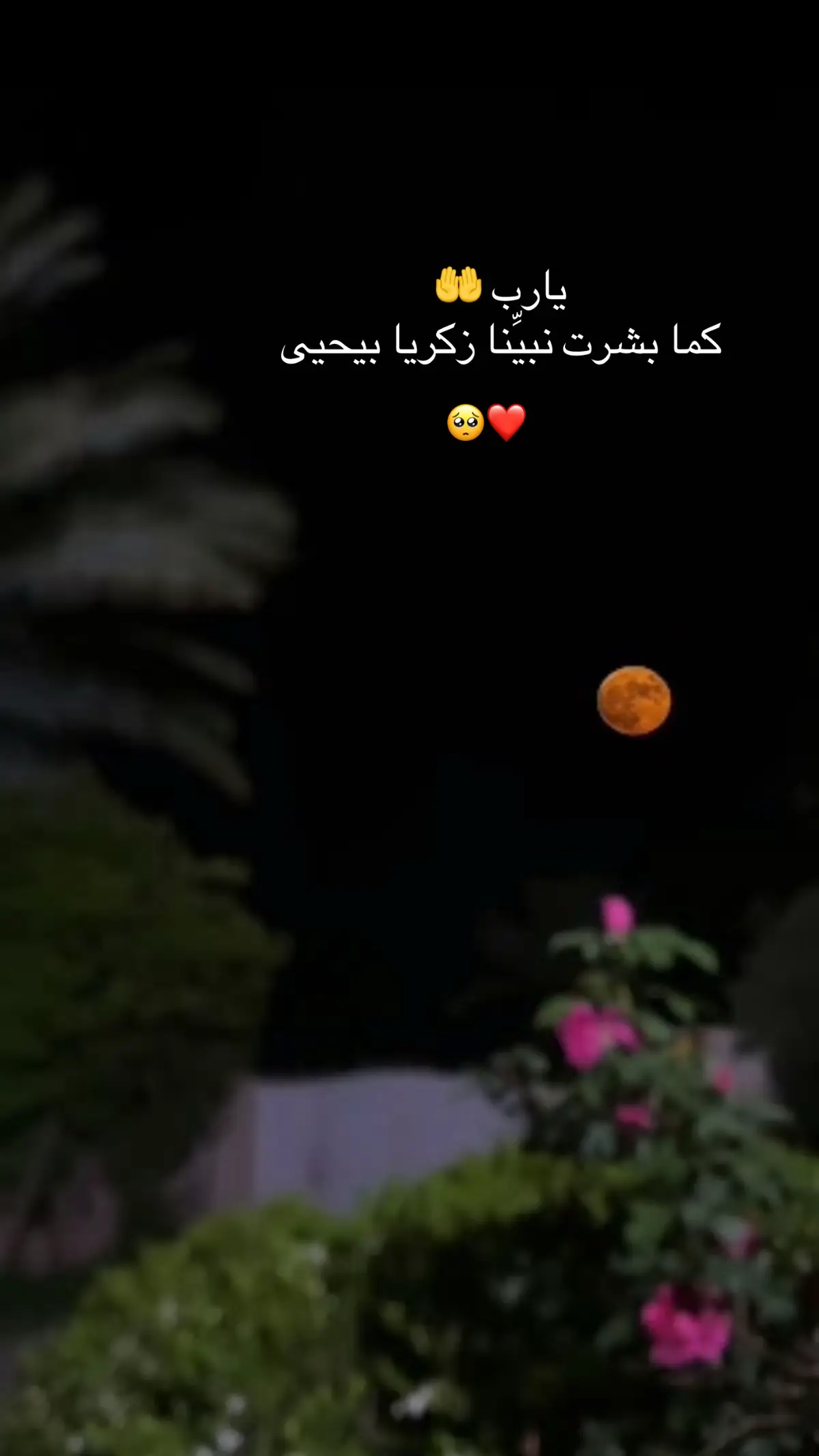#يارب 