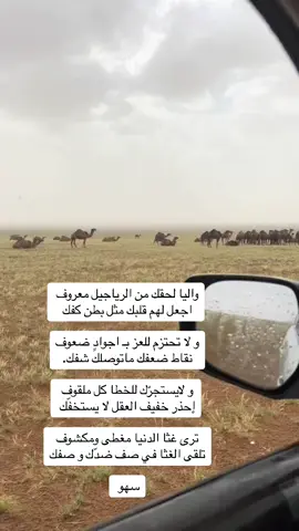 #شعراء_وذواقين_الشعر_الشعبي 