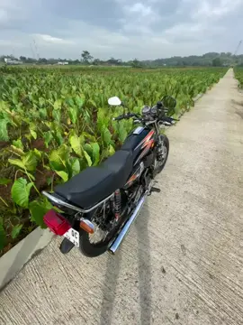 #CapCut #rxkingindonesia #rxking #rxking135cc #twostroke #twostrokeindonesia #trendingtiktok #fiypシviral 