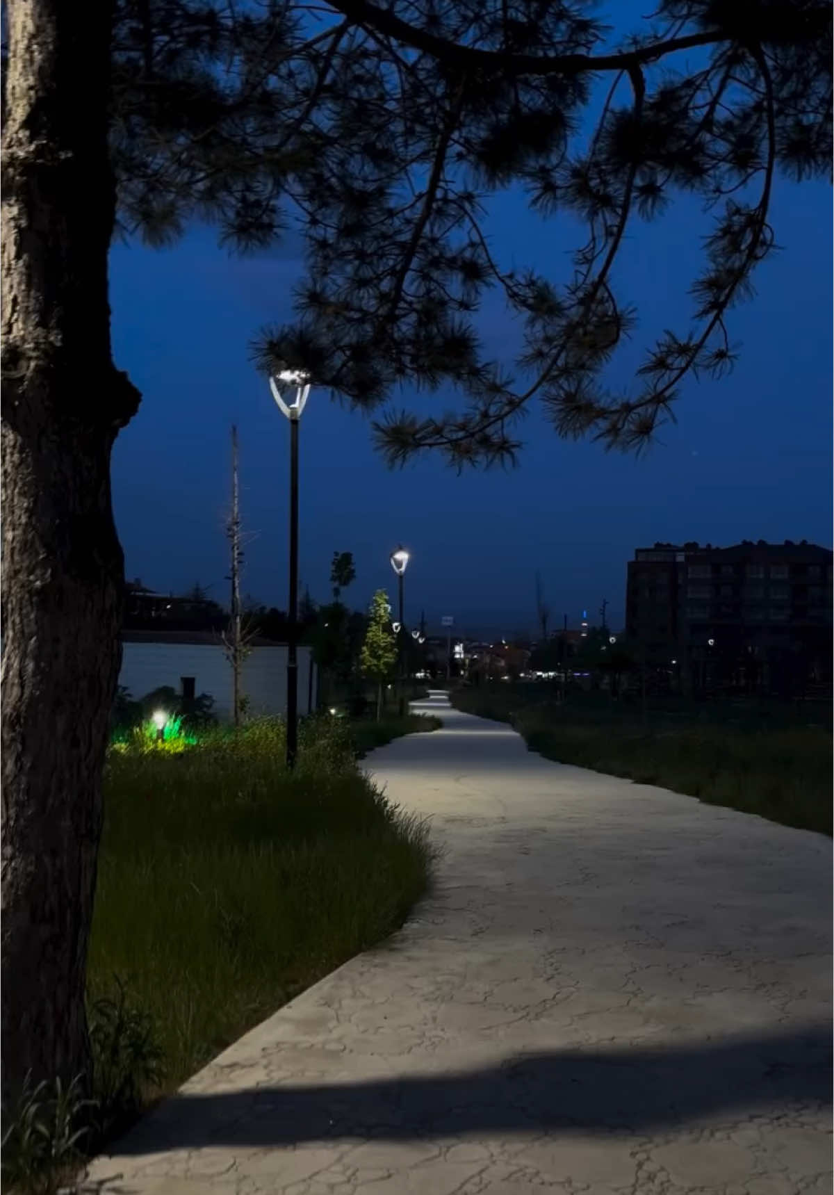 وغلبني😍 #وغلبني #فضل_شاكر #جديد #ترند_تيك_توك #tik_tok #foruyou #fyp #forme #tranding #trandingvideo #trandingsong 