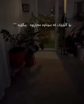 🖤✨#اربيل #اربل_العراق 