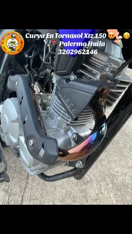 #xtz150 #curvaentornasol #Nitida 