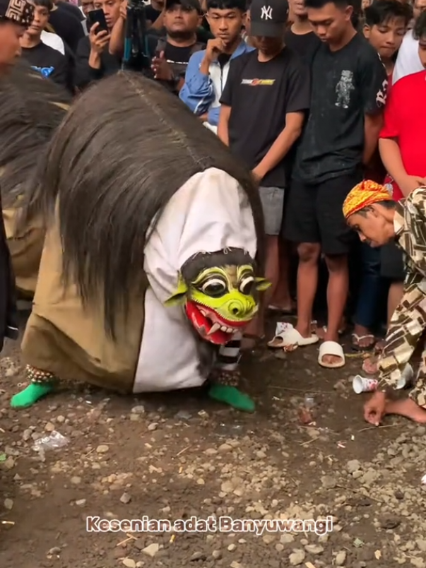 Macanan barong tresno budoyo kemiren.                          #fyppppppppppppppppppppppp #barongbanyuwangi #tresnobudoyokemirentuwek #keblakkeblak #bwi24jam #bwipride 