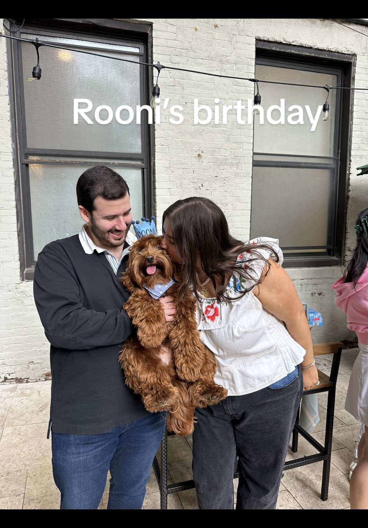 Rooni’s first birthday @Abbode style 🐾🦴🐶 @Stella & Chewy’s 💙💙💙 #dogmom #dogsoftiktok #rooni #embroidery #dogbirthday #dogbirthdayparty 