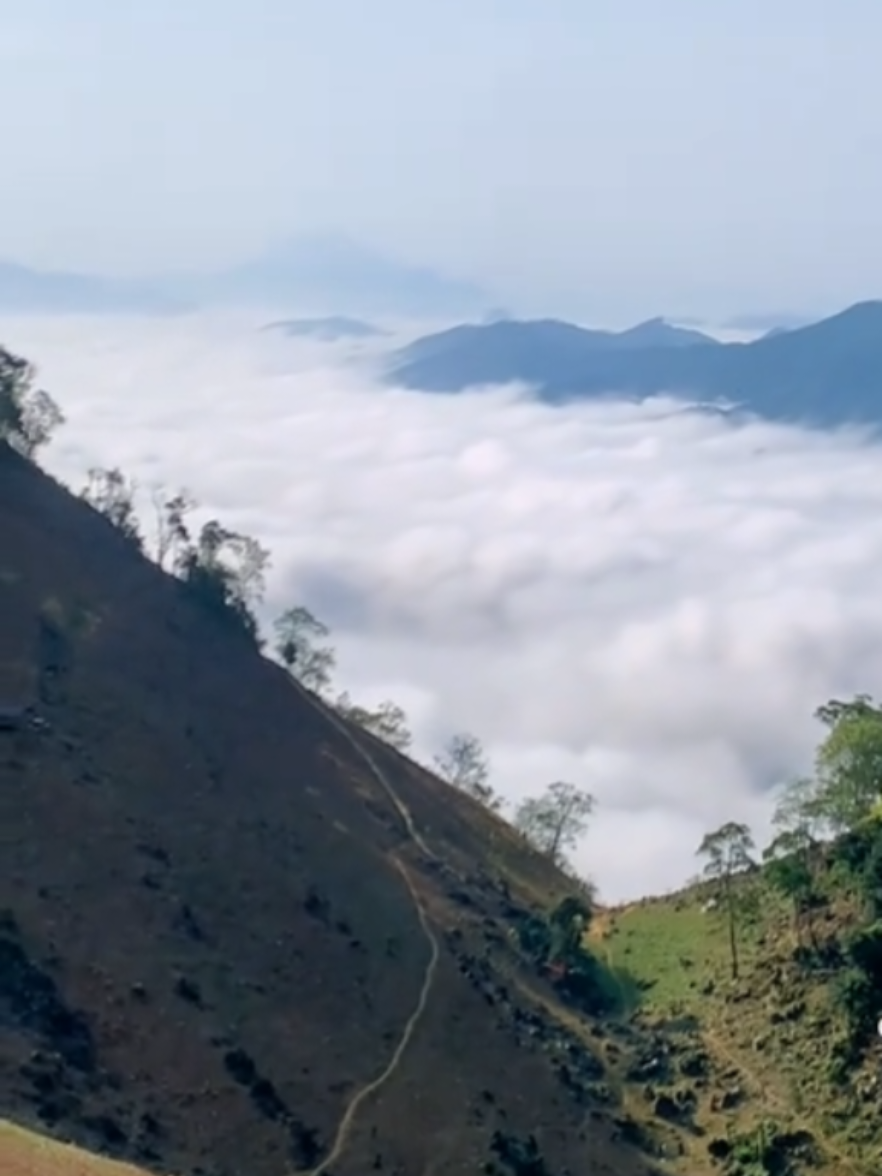 #เทรนด์วันนี้ 