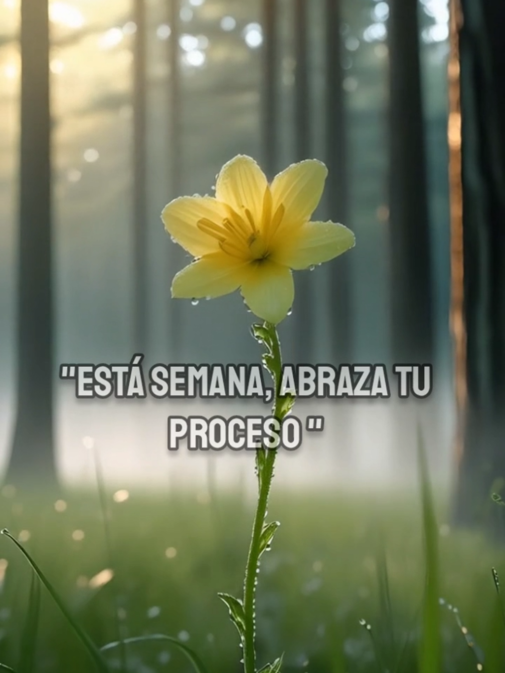 #frasesdevida#reflexionespositivas# #frasespositivas#ánimo#motivación# #poesía#sabiduría#mensaje# #amorpropio#pensamientos#