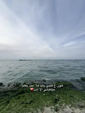 #دعاء #muslim #مسلمون #foryou #قرأن #الله #viral #foryoupage ❤️‍🩹