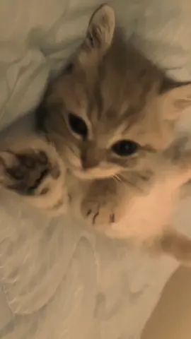 කීබෝඩ්එකේ 