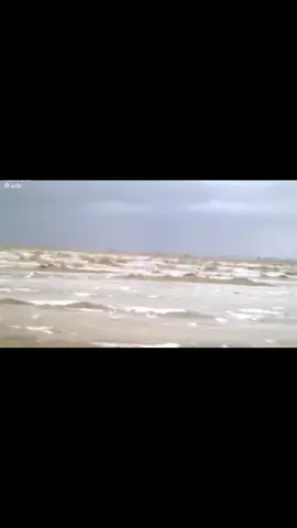 #اكسبلور 