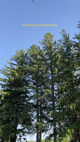 nature is therapeutic 