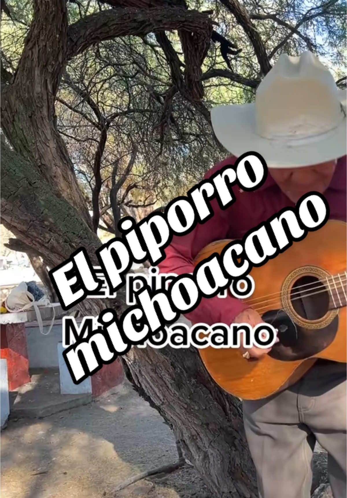 #piporro #musica #delrecuerdo #parati 