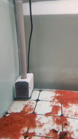 25 watt cukup untuk aquarium 3 ft.. bergantung pada saiz filter..sy pakai top filter 2 ft#topfilter #aquarium 