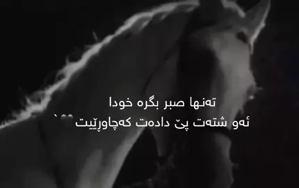 #ئەکتیڤبن🥀🖤ـہہـ٨ــہ #ئەکتیڤبن🥀🖤ـہہـ٨ــہ #ئەکتیڤم_سفرە #ئەکتیڤم_سفرە #foryou #foryou #foryou #foryou #foryou #foryou #foryou #foryou #fyp #foryou #fyp #foryou #fyp #foryou #fyp #foryou #fyp #foryou #fyp #foryou #fyp #fyp #fyp #fyp #fyp #fyp #foryou #fyp #foryou #fyp #foryou #fyp #foryou #fyp #foryou #fyp #fyp #foryou #fyp #foryou #fyp #fyp #fyp #foryou #fyp #foryou #fyp #foryou #fyp #foryou #fyp #fyp #fyp #fyp #fyp #fyp #fyp #fyp #fyp #fyp #foryou 