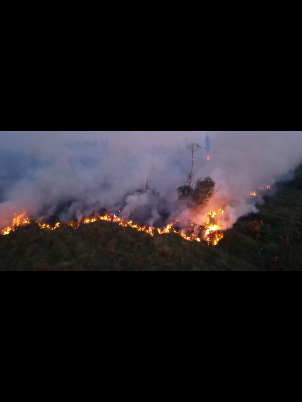 Carracastle Forestry Fire May 18th  #wildfire #forestfire #coillte #firebrigade #mayofireservice #mayo #carracastle #fire #firefighter #smoke @RTÉ News @Midwest Radio #roscommonfire 