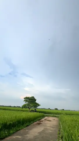 #fpv 1 bộ môm thật thú vị #pilot #fpvdrone #fpvpilot 