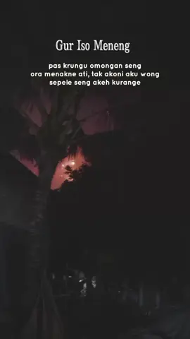 #CapCut 
