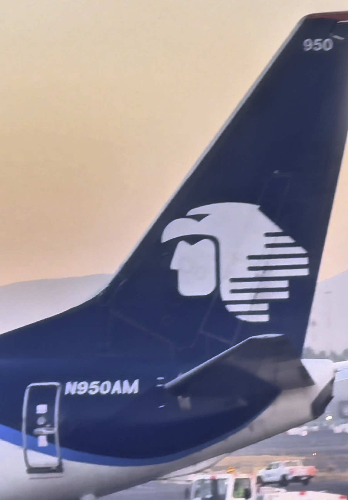 Tripulación de cabina armar toboganes 🙌 @Aeroméxico #fyi #b737 #takeoff 