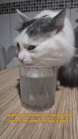 #foryou #viral #cats