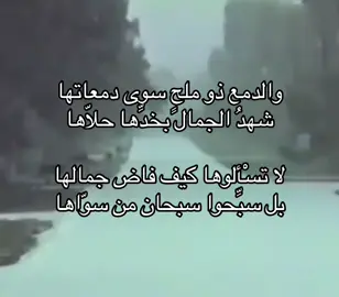 #fyp #foryoupage #explore #foryou #نجد #شعر 