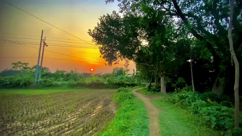 #একদিন তুমি বুঝবে বন্ধুরে💔🥀🌱☘️#foryou @TikTok Bangladesh @#foryou @TikTok Creative Experts @TikTok 