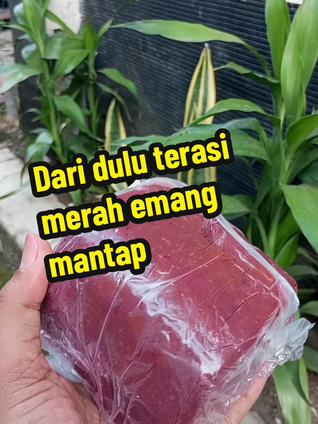 Membalas @vheravirgodari dulu terasi merah emang mantap #terasicirebon #terasibangka #terasicolek #terasimerah #terasiviral #fyp 