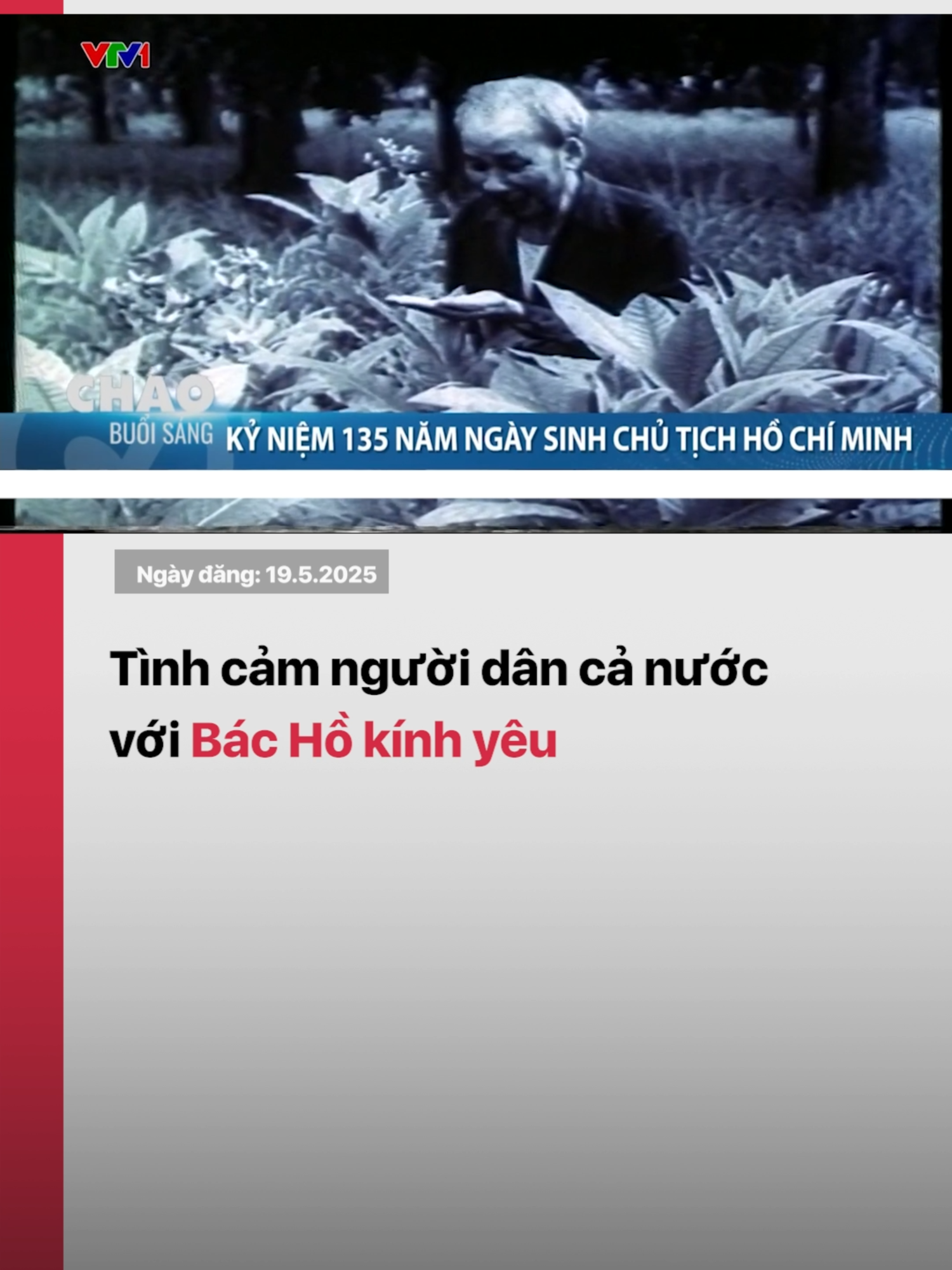 Hôm nay (19/5), kỷ niệm 135 năm ngày sinh của Chủ tịch Hồ Chí Minh - Vị cha già của dân tộc, Lãnh tụ thiên tài, Người thầy vĩ đại của cách mạng Việt Nam, Anh hùng giải phóng dân tộc, Danh nhân văn hóa thế giới, Người chiến sĩ cộng sản quốc tế mẫu mực, Người bạn thân thiết của các dân tộc yêu chuộng hòa bình và tiến bộ xã hội trên toàn thế giới #tiktoknews #vtvdigital #vtv24 #BacHo #ChutichHoChiMinh