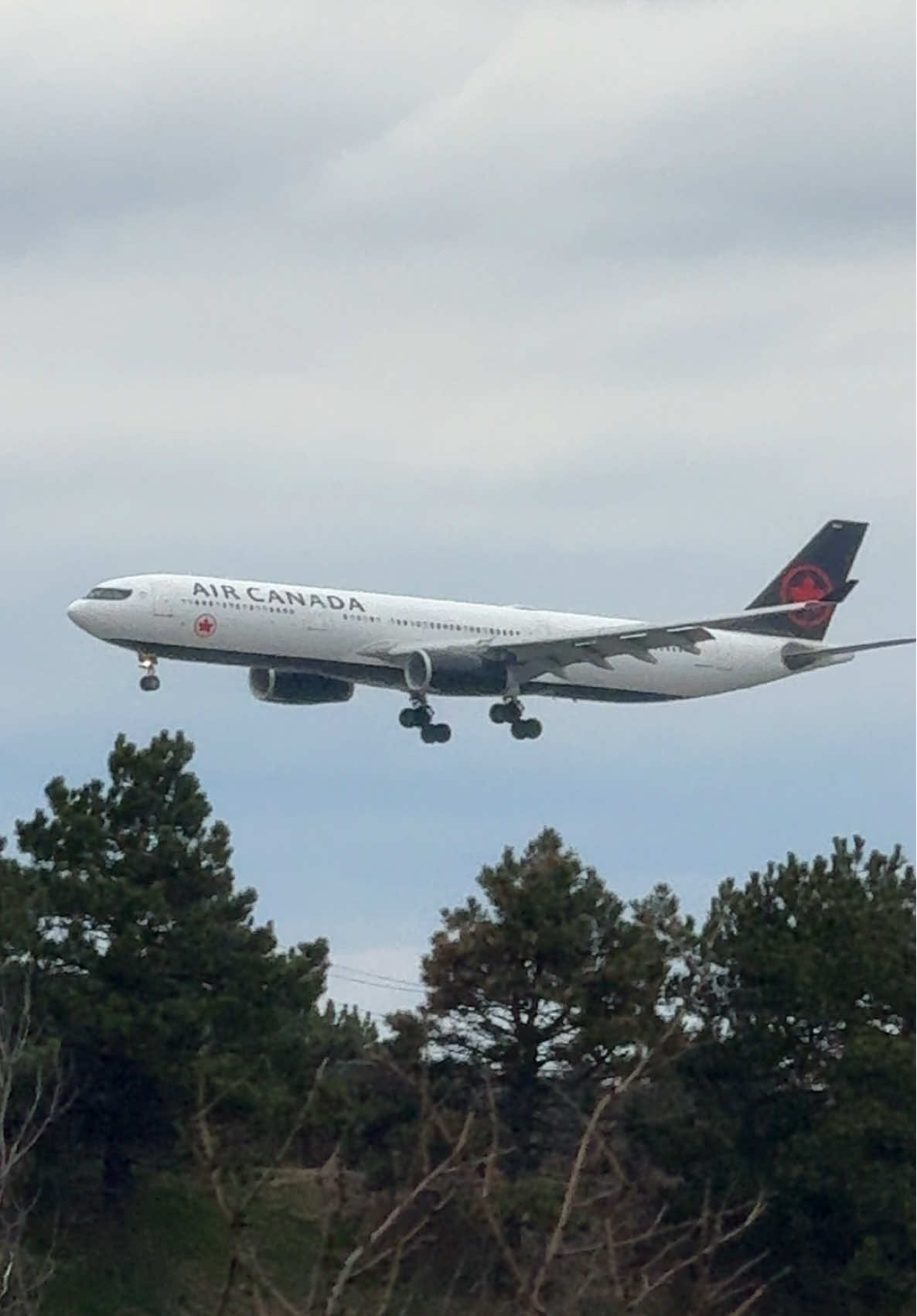 Catching Perfection in the Sky 🔥 #AirCanada Moments #airbusa330 AirCanada #A330 #YYZ #PlaneSpotting #FinalApproach   #WidebodyLanding #AviationLovers #AvGeek #PilotView #SmoothLanding #TorontoPlanes #AirplaneMode #JetSpotting #Avia @Air Canada 