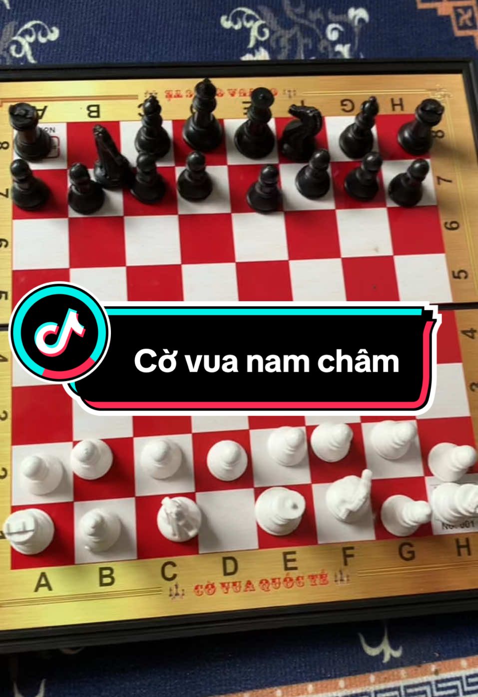 Bộ cờ vua nam châm#dogiadung #dogiadungthaibinh #bocovua #covua #covuanamchammini #covuaquoctenamcham #bancovuaquocte #covuacoban #covuachobe #covuavietnam #videoviral 
