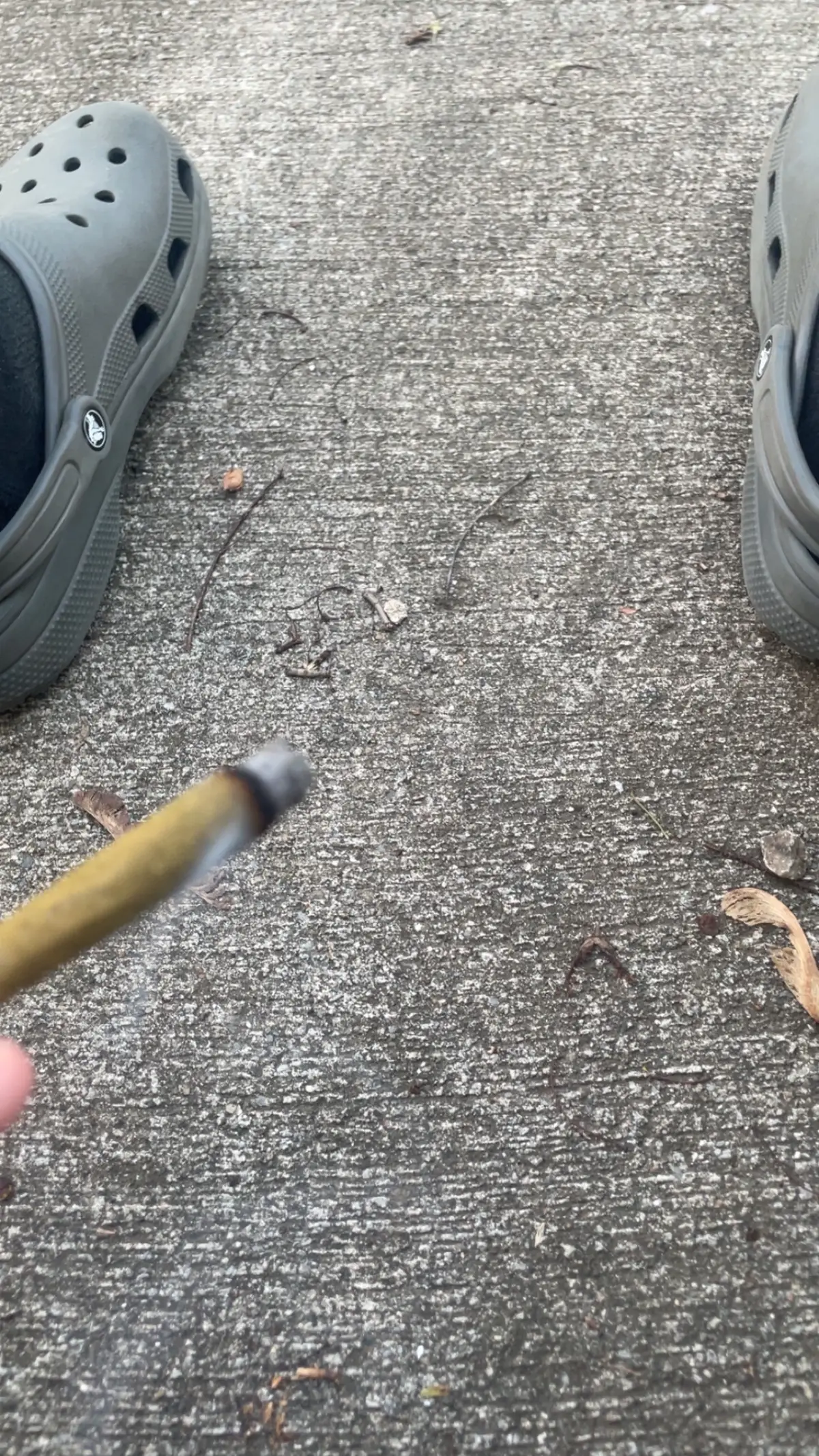 #foryou 