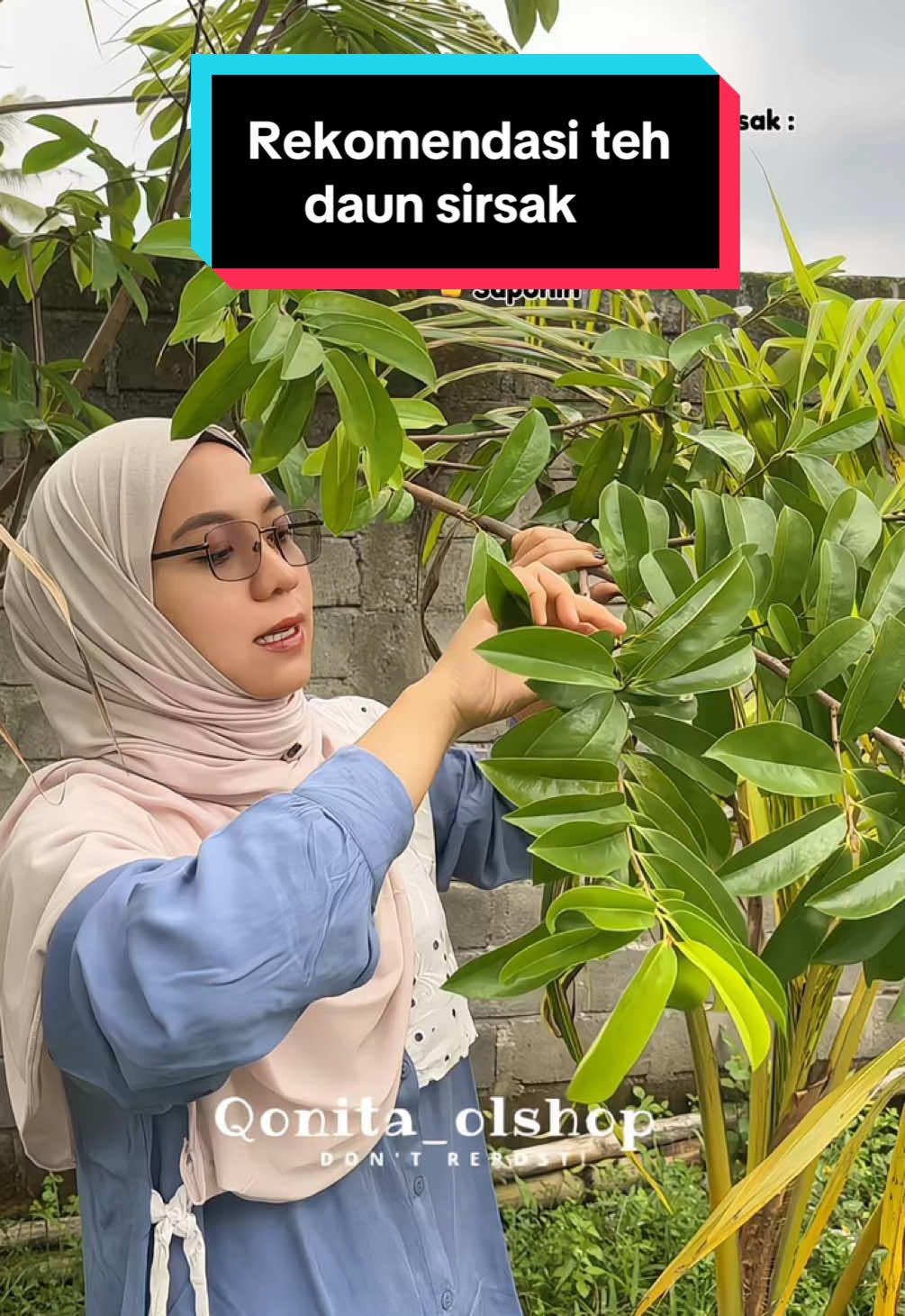rekomendasi teh daun sirsak berbentuk celup jadi lebih praktis tinggal seduh .Disclaimer untuk hasil setiap orang berbeda-beda tergantung metabolisme tubuh masing-masing ya guys #tehdaunsirsak #tehsirsak #tehherbal 