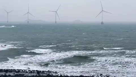 Rất nhiều năm sau, mèo Tom già rồi, người chủ không còn thích anh nữa, lũ mèo mới đến trong nhà cũng b.ắt n.ạt anh. Khi lũ mèo lại một lần nữa vứt thức ăn của anh ra ngoài cửa, Tom kéo đôi chân không còn linh hoạt của mình đi thật xa để nhặt về một miếng phomat đầy bụi. Anh thở dài. Trong sự cười nhạo của lũ mèo, anh cẩn thận đặt miếng phomat tại lỗ chuột phủ đầy mạng nhện nơi góc nhà, mặc dù bạn anh đã mãi ra đi.