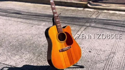 Zenn Acoustic Guitar