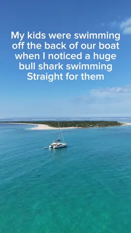 The girls were swimming off the back of the boat today as they always do in crystal clear water when I spotted a huge bull shark heading straight for them!! Im not sure if it’s the same one we spotted eating a turtle a few days earlier!  #sharkattack #sharks #boatlife #sailinglife #sailingwithkids #newcaledonia 