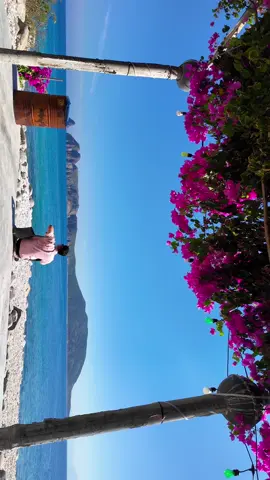 View đẹp nhất đảo 📍 Đảo Bích Đầm - Nha Trang. #vivu #dailyvlog #travelvlog #xuhuong #nhatrang #bichdamisland #dulichvietnam 