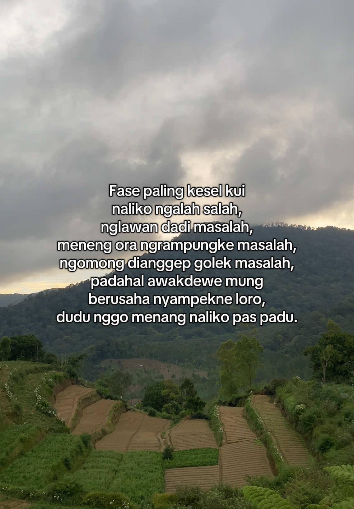 🍃#4u #katakatastorywa_ #katakata #baper #jowostory 