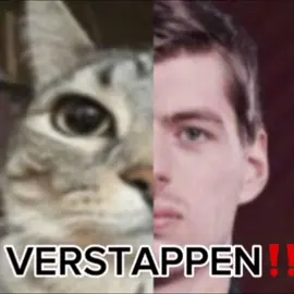 @Formula 1 realz (flop) #formula1 #philippines #maxverstappen #cats #fyp #cringe #fyppppppppppppppppppppppp #fyppppppppppppppppppppppp 