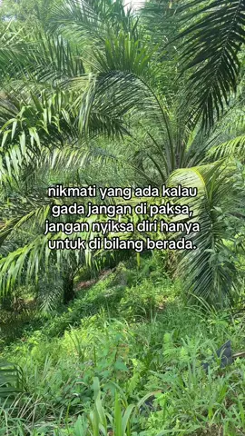 #sawit #sawitontiktok #fyp 