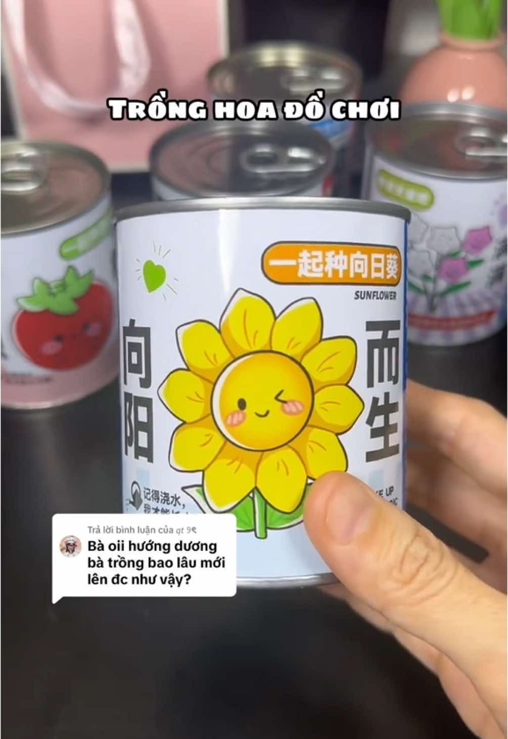 Trả lời @𝘲𝘵 ୨ৎ Có thể là kiêu hãnh tới hết tháng này luôn vì tui trồng hoa hướng dương quá xuất sắc 😆🌻 #trongcay #tronghoa #trongcaymini #caymini #cayminideban #hoamini #chaucaymini #hatgiong #hatgiongrau #hatgionghoa #hatgiongraucu #hatgiongcaytrong #kittrongcay #kittrongcaymini #dochoitrongcaymini #fyp #nhintuine 