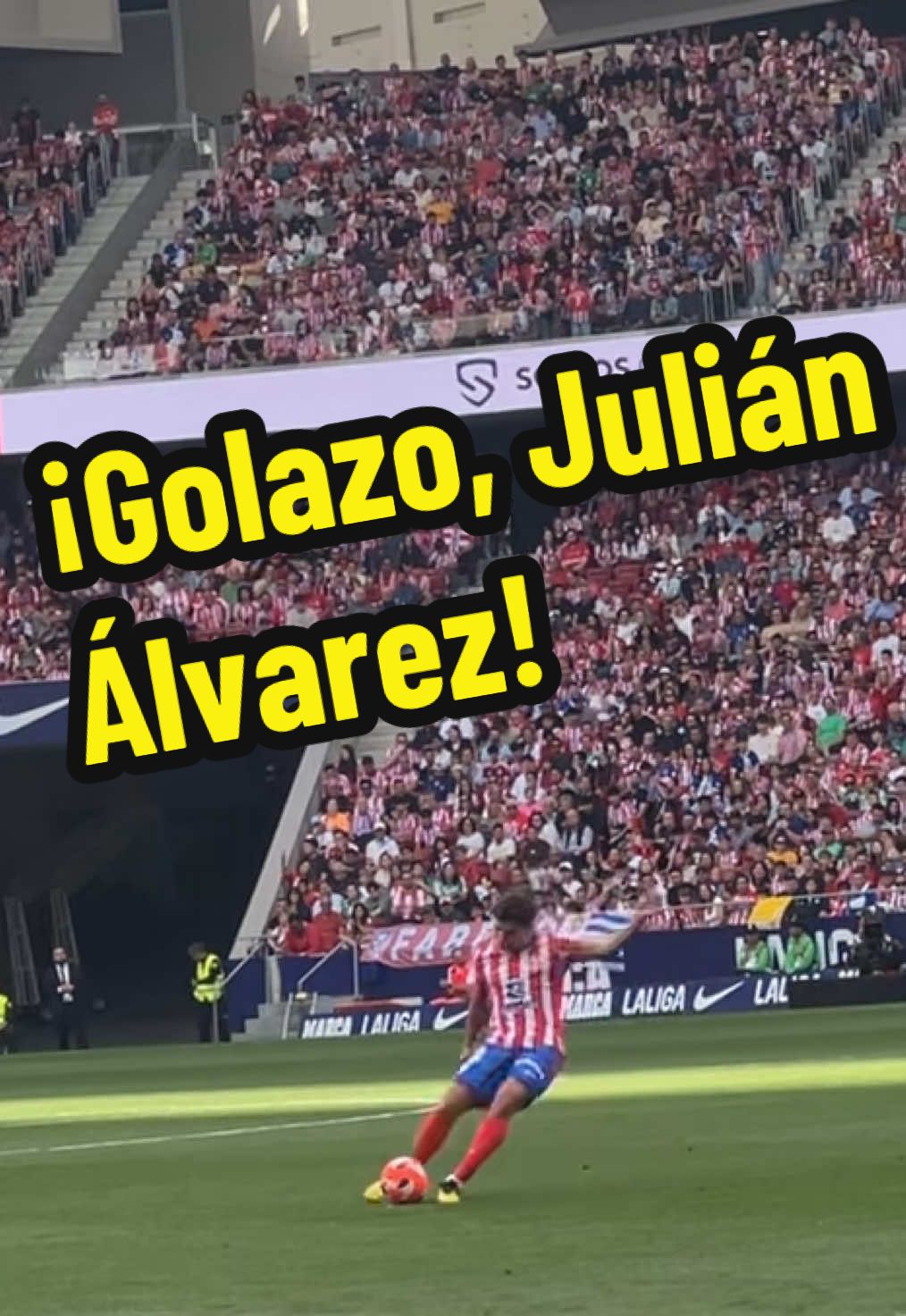 #julianalvarez #atleticodemadrid #realbetis #liga 