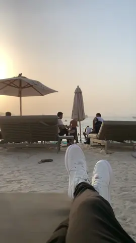 🇦🇪🏖️The camels on JBR are so beautiful #dubai #uae 🍹#jbrdubai ... more