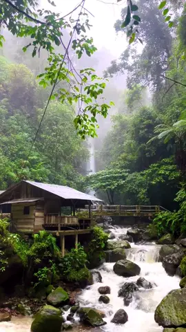 sulap curug aesthetic jadi tempat paling galau di bogor !!!  geser sound sedikit bisa jadi horror, mau nyoba ??  #fyp #curug #curugciparay #curugciparaymuaraherang #bogor #bogorhits #bogorsentul #waterfall #waterfalladventures  